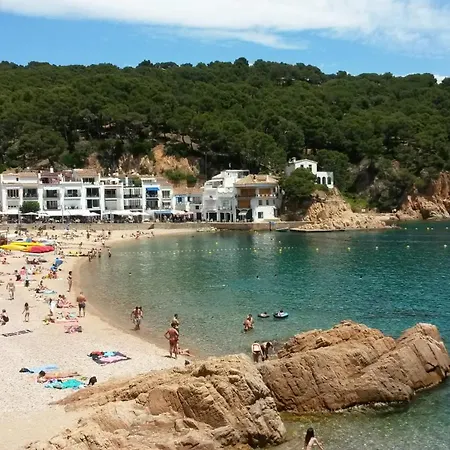Ullastres 펜션